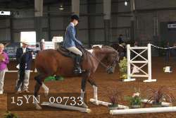 15YN_00733 proof
