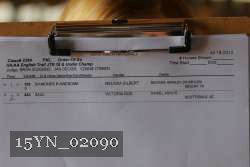 15YN_02090 proof