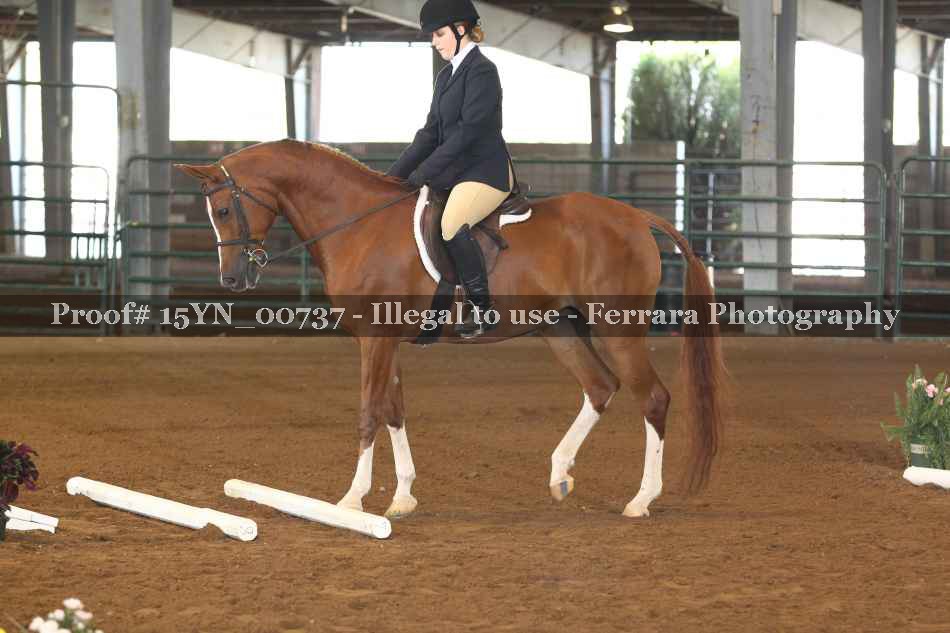 Proof 15YN_00737