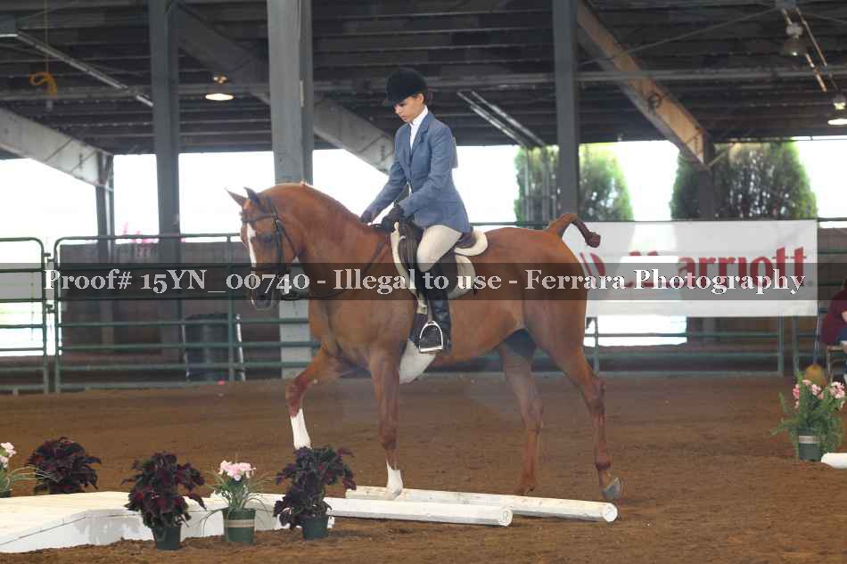Proof 15YN_00740