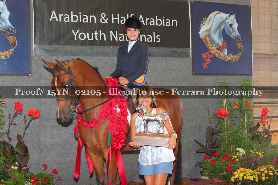 Proof 15YN_02105