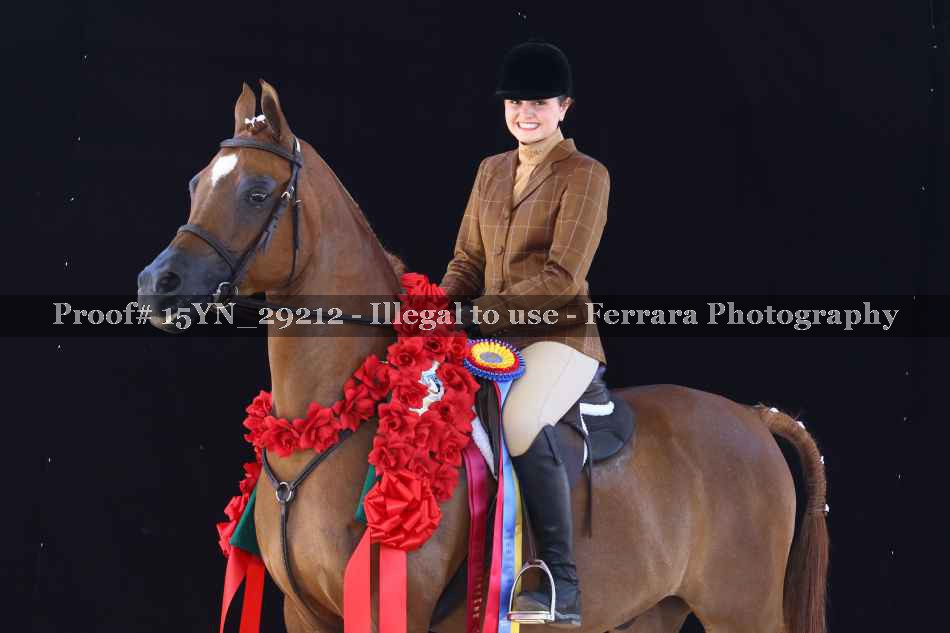 Proof 15YN_29212