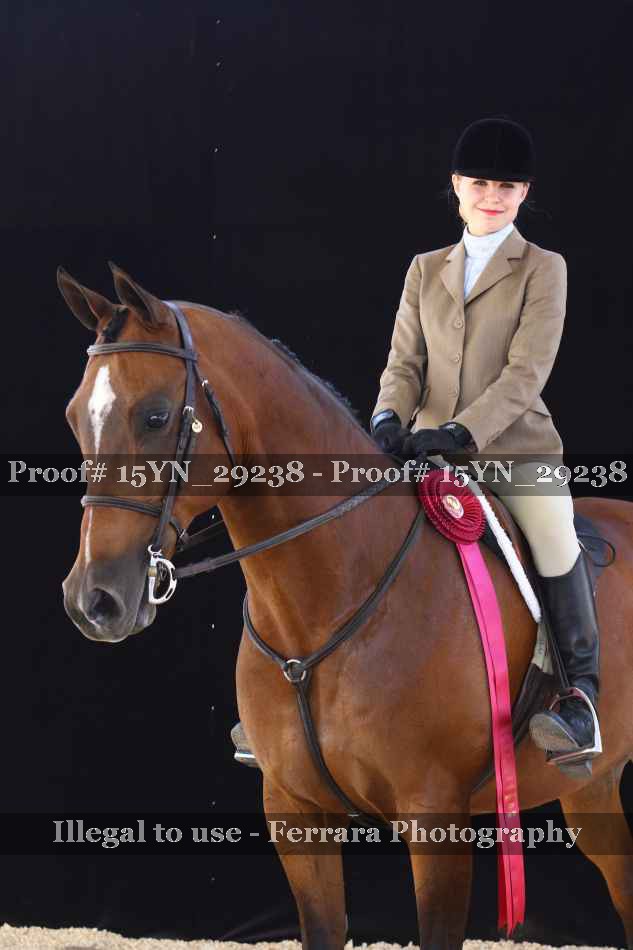 Proof 15YN_29238