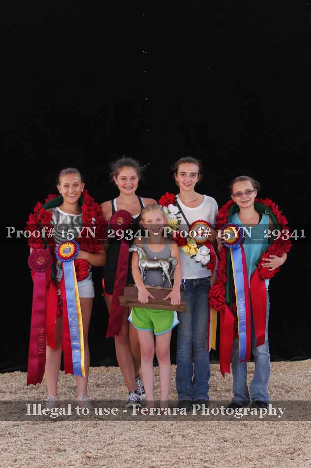 Proof 15YN_29341