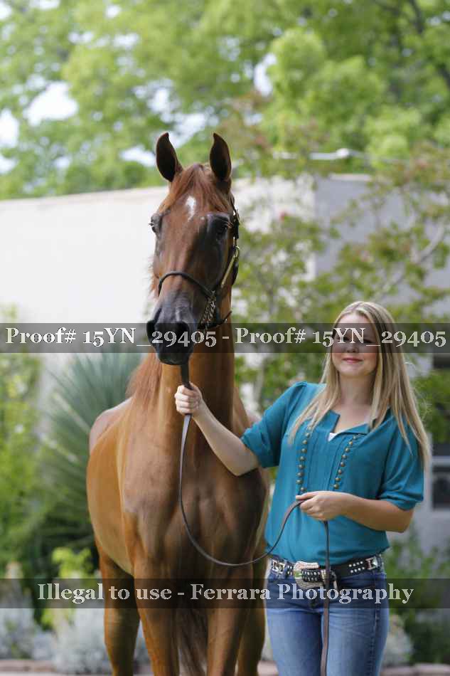 Proof 15YN_29405