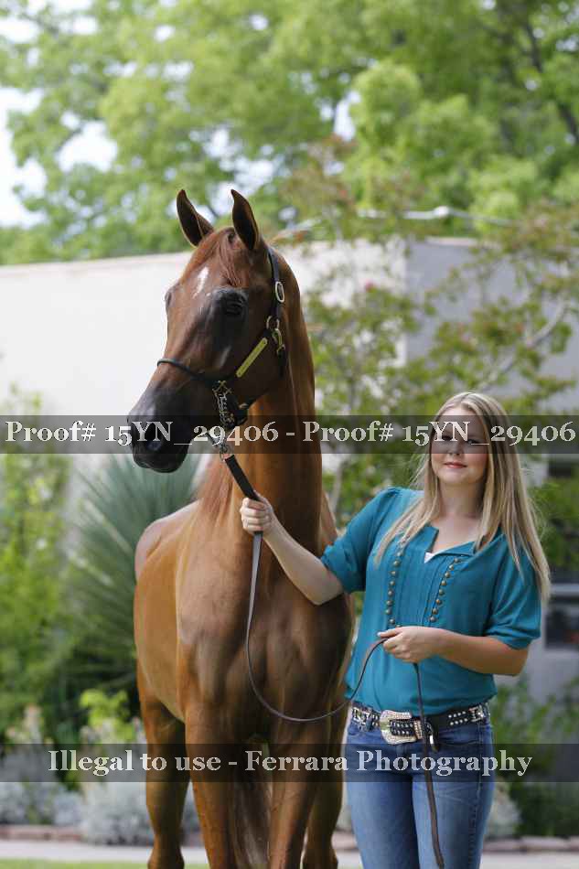 Proof 15YN_29406