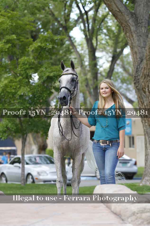 Proof 15YN_29481