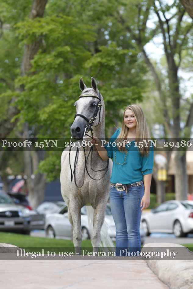 Proof 15YN_29486