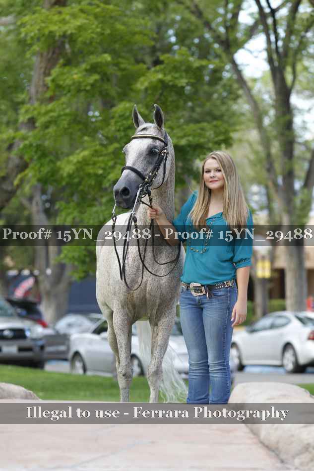 Proof 15YN_29488