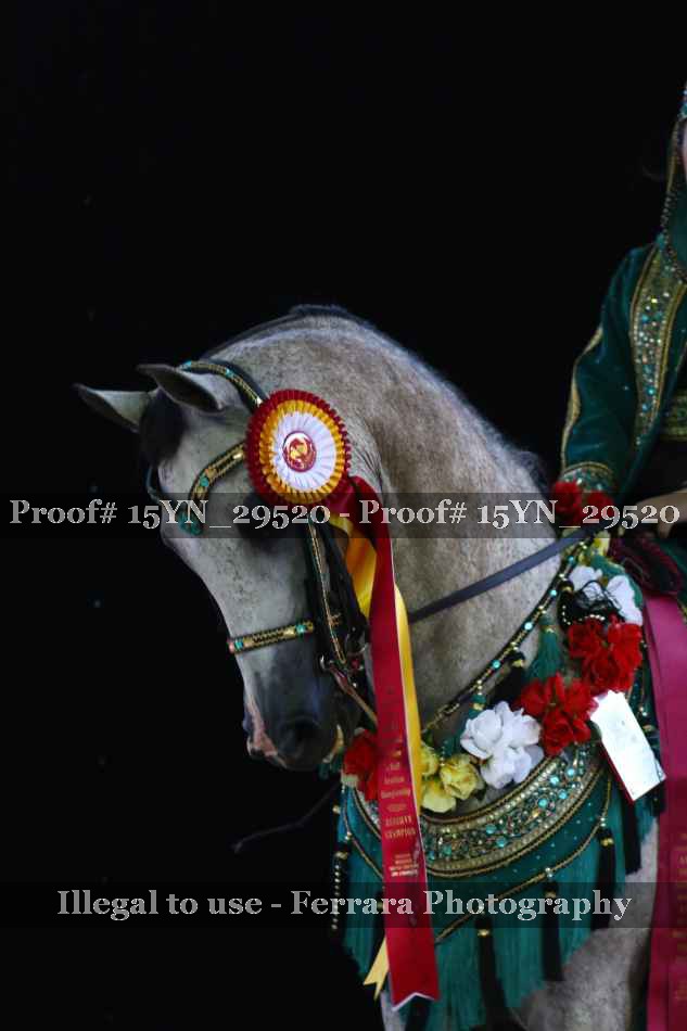 Proof 15YN_29520