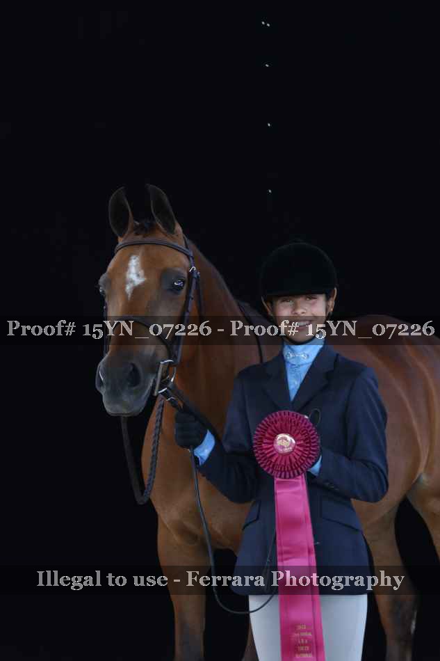 Proof 15YN_07226