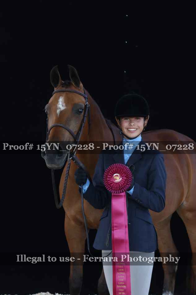 Proof 15YN_07228