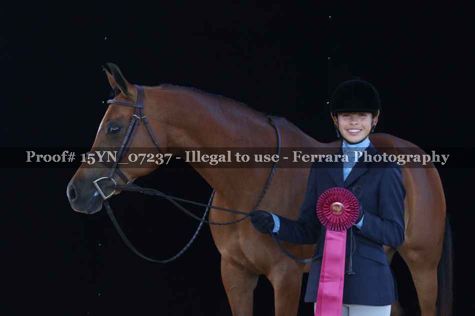 Proof 15YN_07237