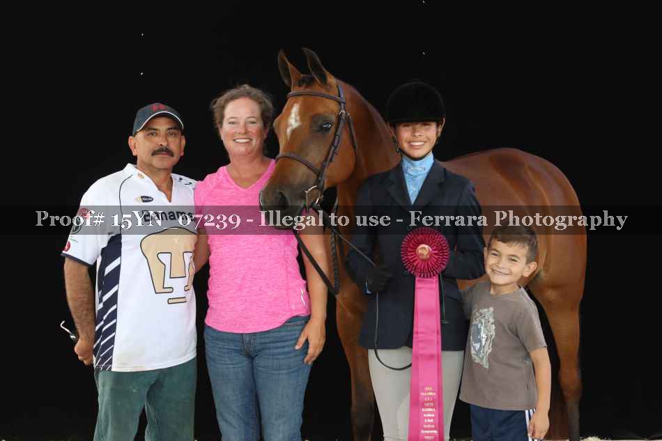 Proof 15YN_07239