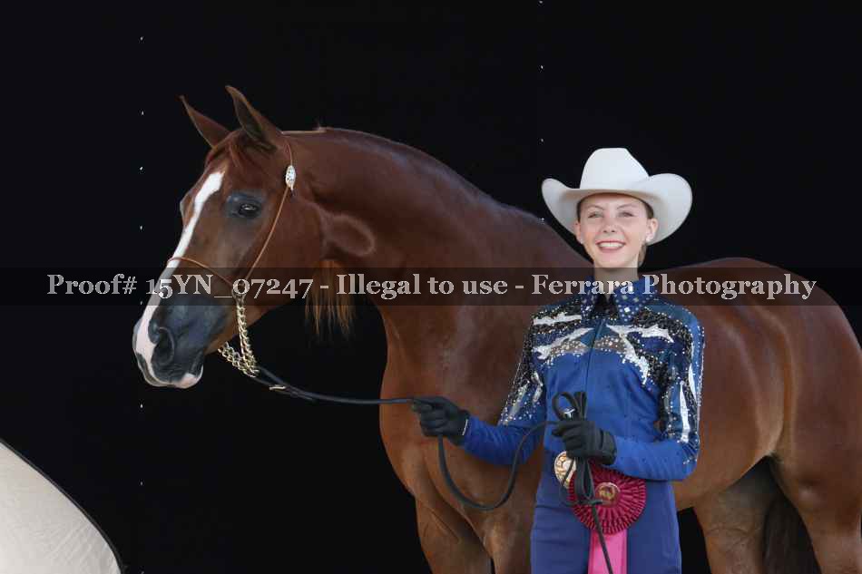 Proof 15YN_07247