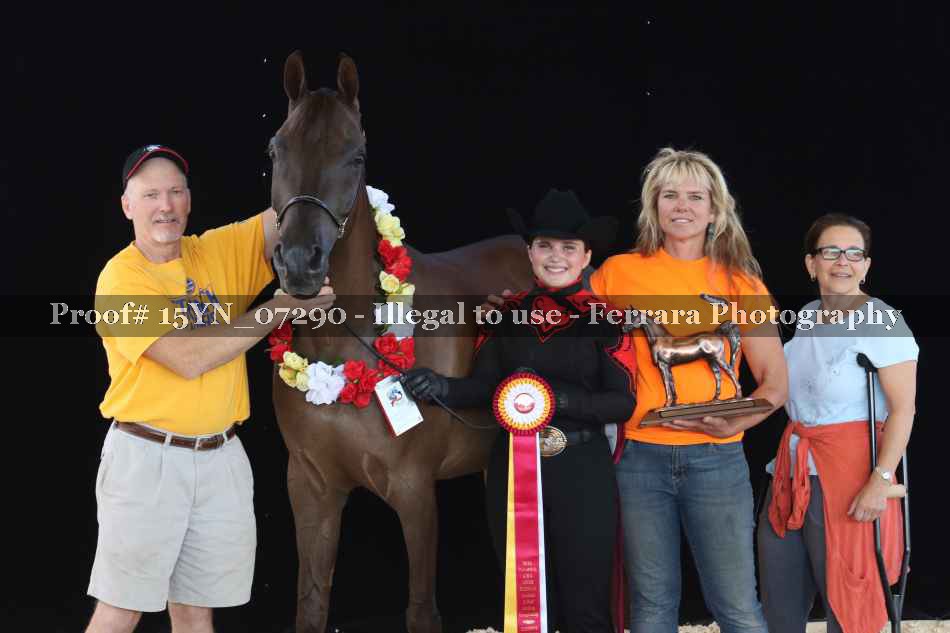 Proof 15YN_07290