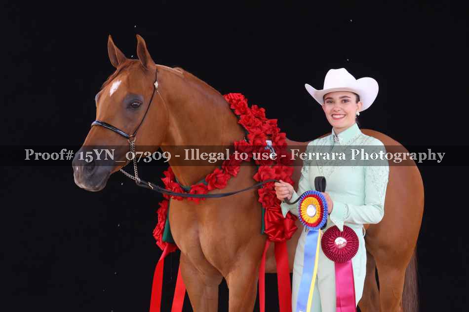 Proof 15YN_07309