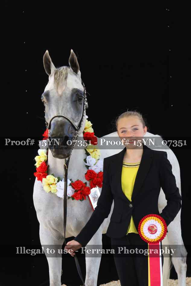 Proof 15YN_07351