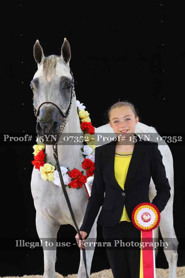 Proof 15YN_07352