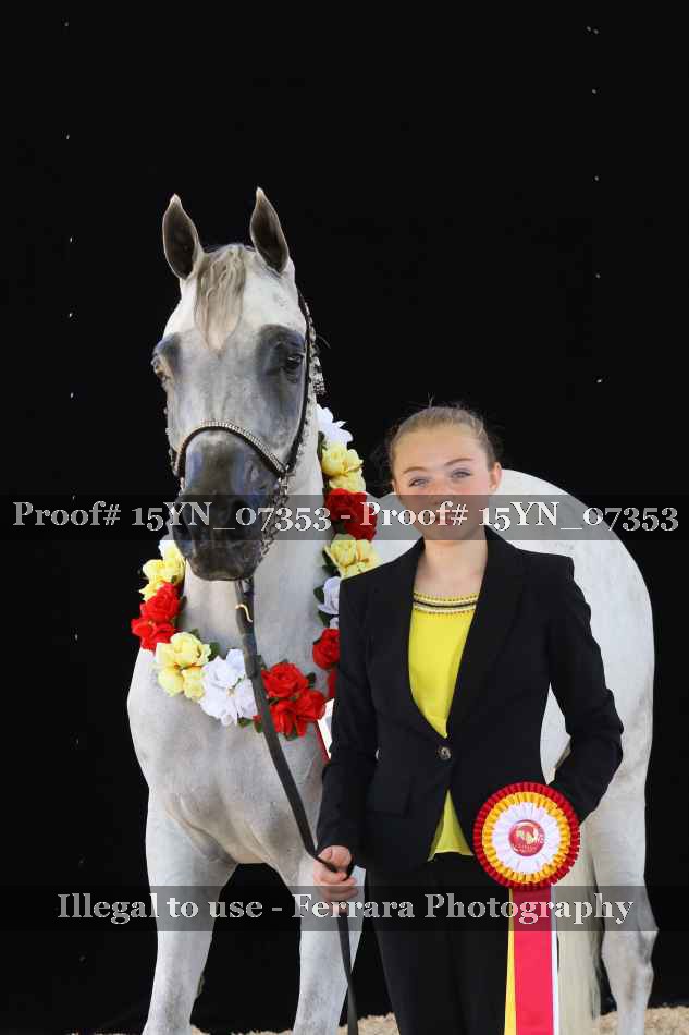 Proof 15YN_07353