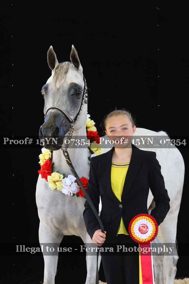 Proof 15YN_07354