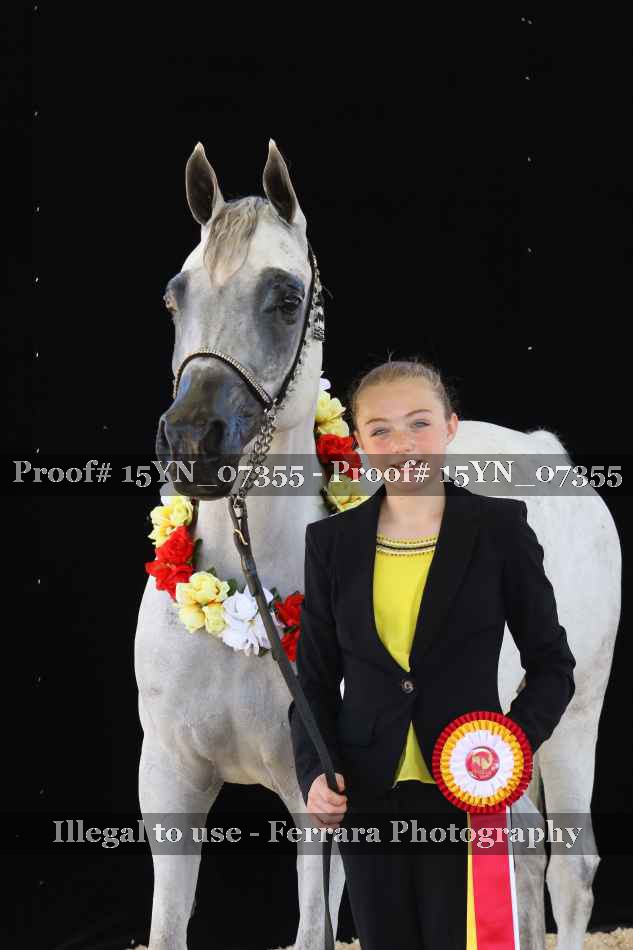 Proof 15YN_07355