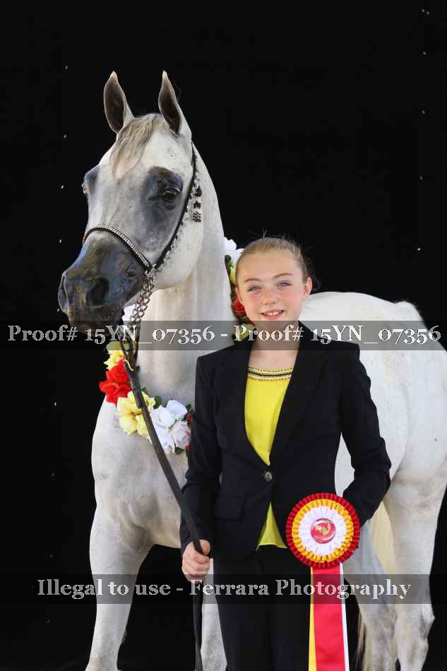 Proof 15YN_07356
