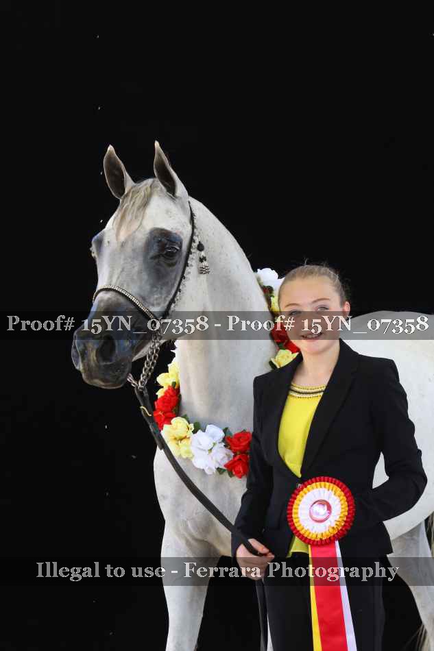 Proof 15YN_07358