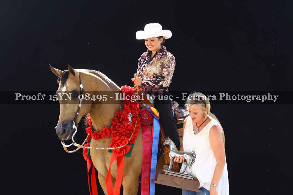 Proof 15YN_08495