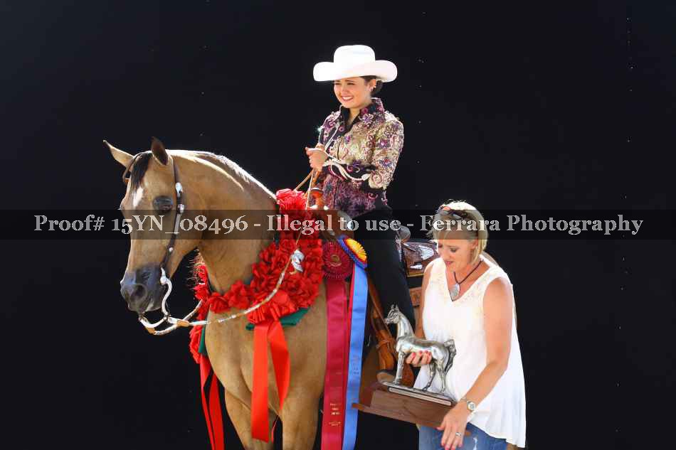 Proof 15YN_08496
