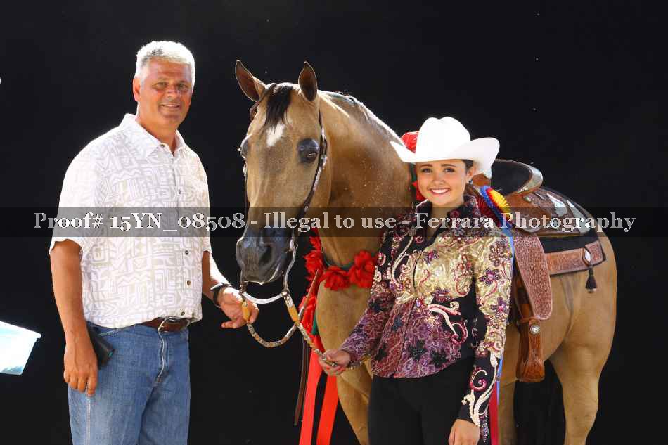 Proof 15YN_08508
