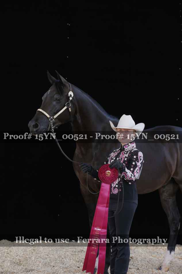 Proof 15YN_00521