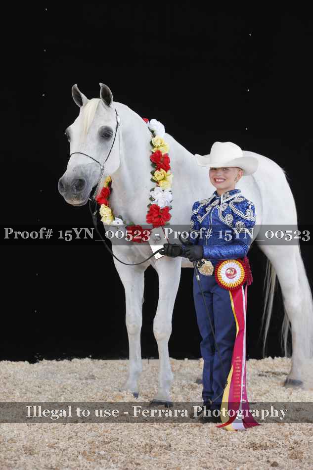 Proof 15YN_00523