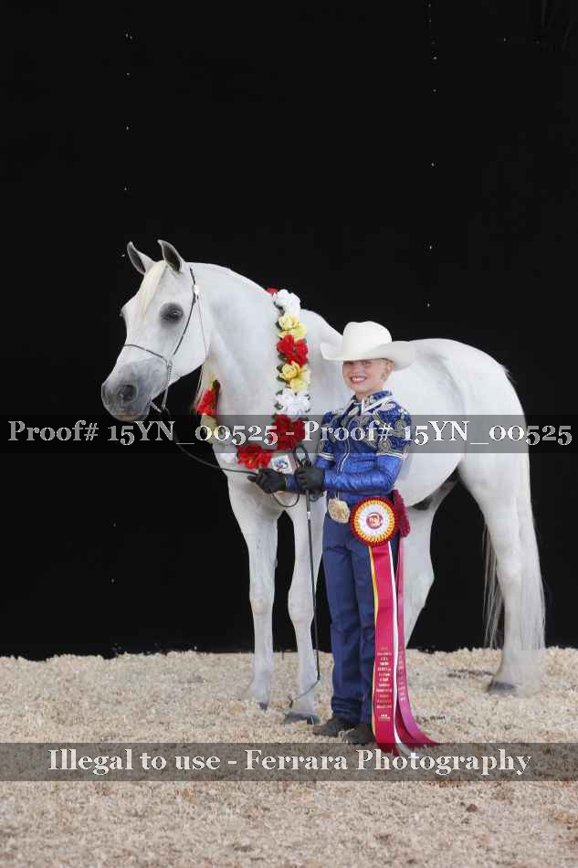Proof 15YN_00525