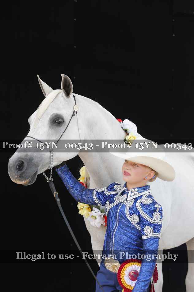 Proof 15YN_00543