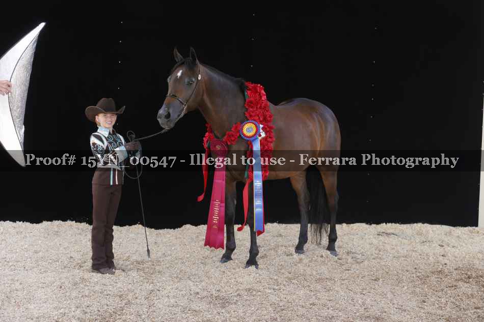 Proof 15YN_00547