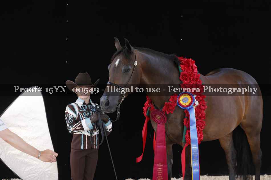 Proof 15YN_00549