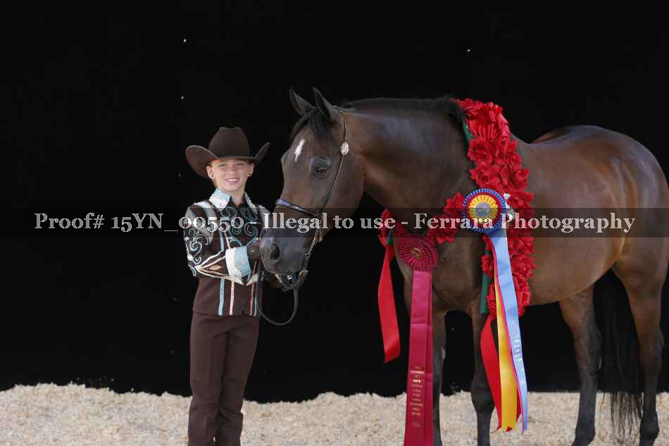 Proof 15YN_00550