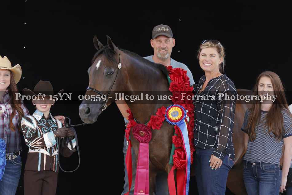 Proof 15YN_00559
