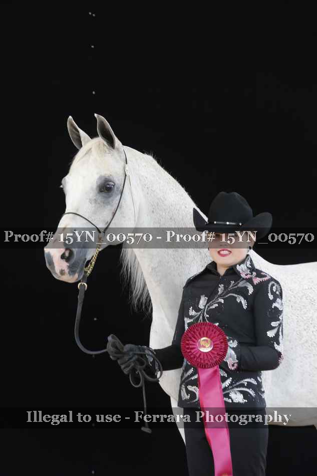 Proof 15YN_00570