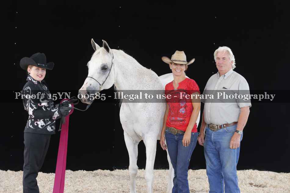 Proof 15YN_00585