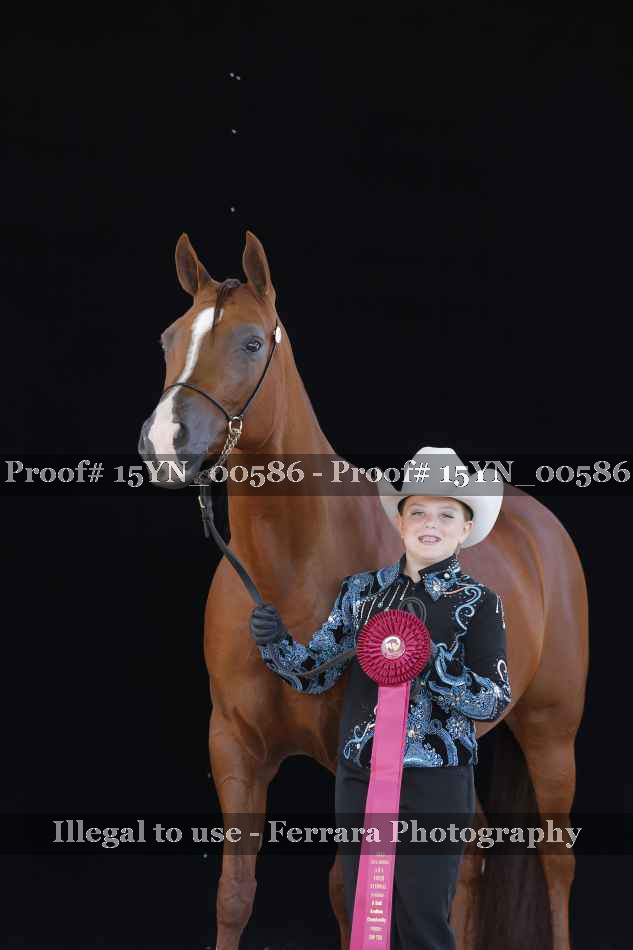 Proof 15YN_00586