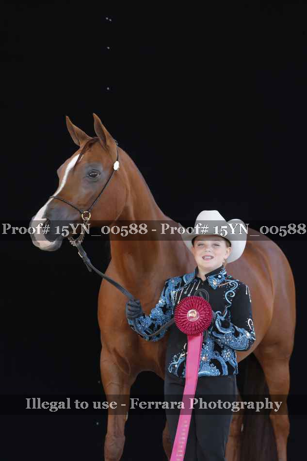 Proof 15YN_00588