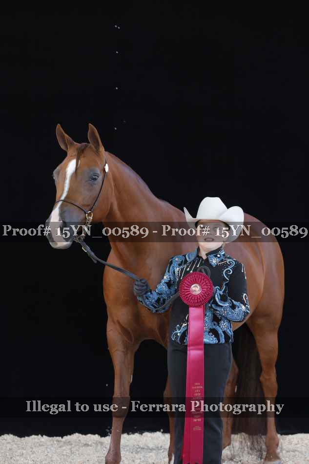 Proof 15YN_00589
