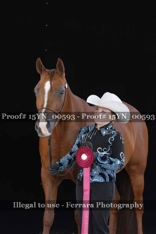 Proof 15YN_00593