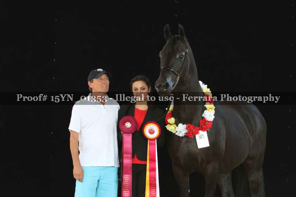 Proof 15YN_01353