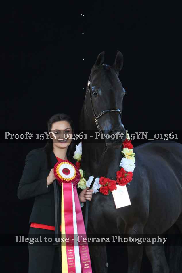 Proof 15YN_01361