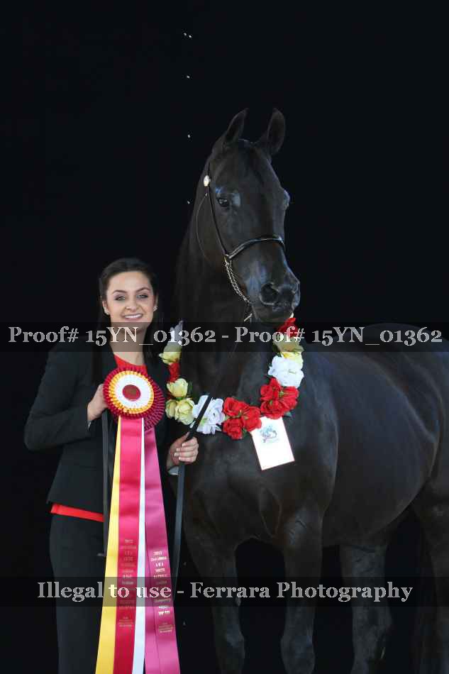 Proof 15YN_01362