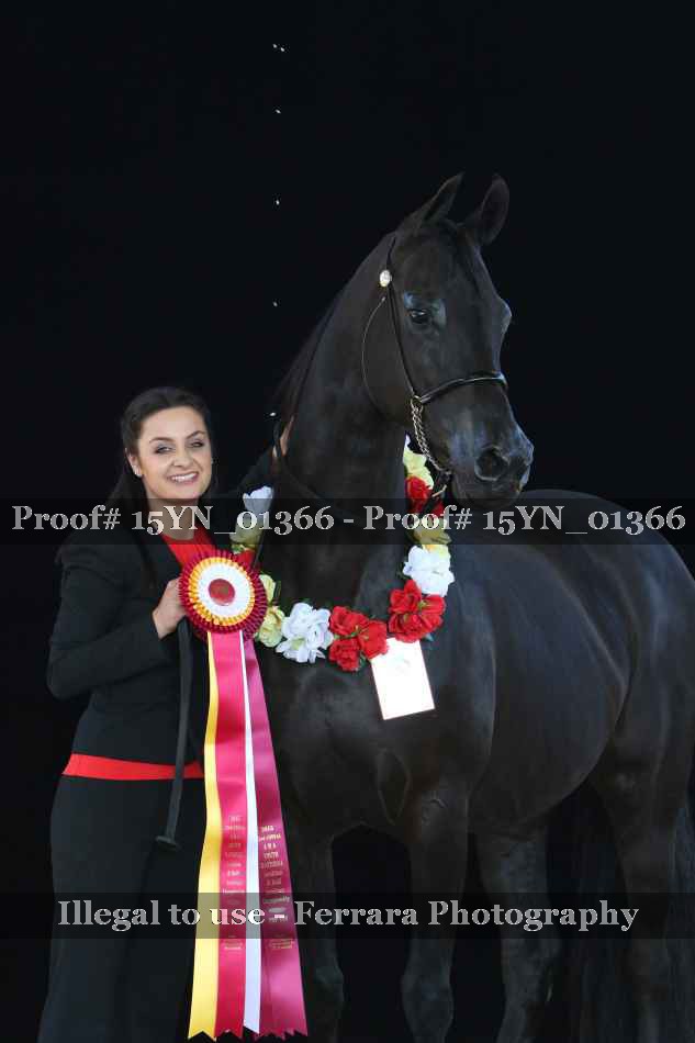 Proof 15YN_01366