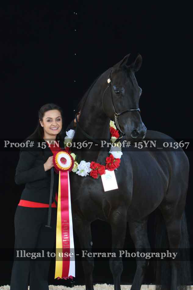 Proof 15YN_01367